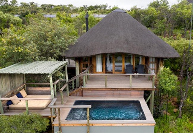 South Africa safari panorama